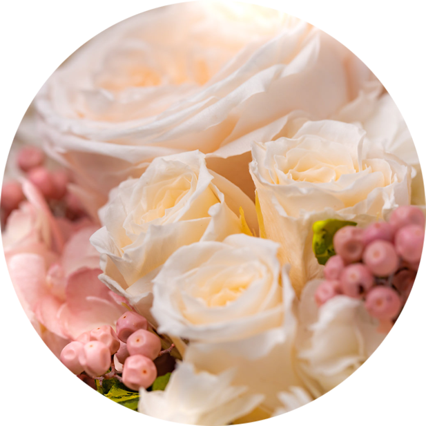 結婚マイスター